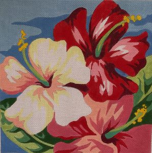 Hibiscus in Bloom